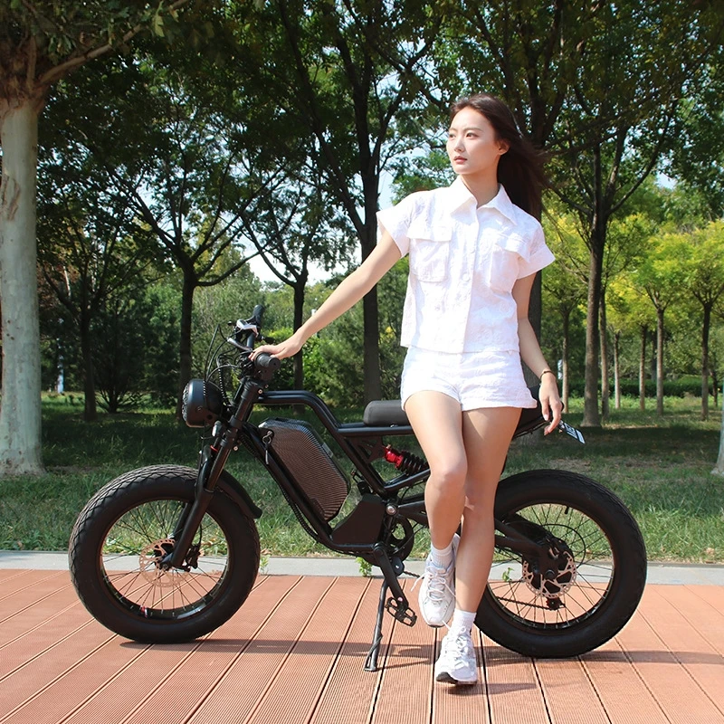 SXLL SXLL13Ah lithium battery  - 48V 1500W Rear Hub Motor With Battery review and price